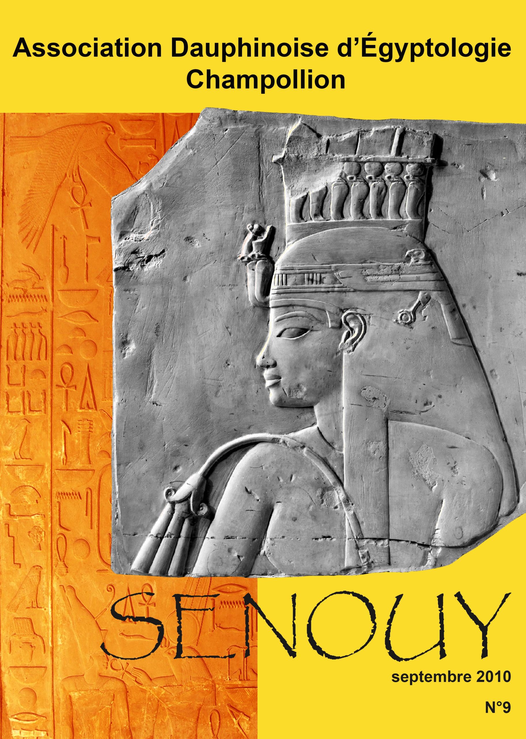 You are currently viewing Senouy 9 (2010)